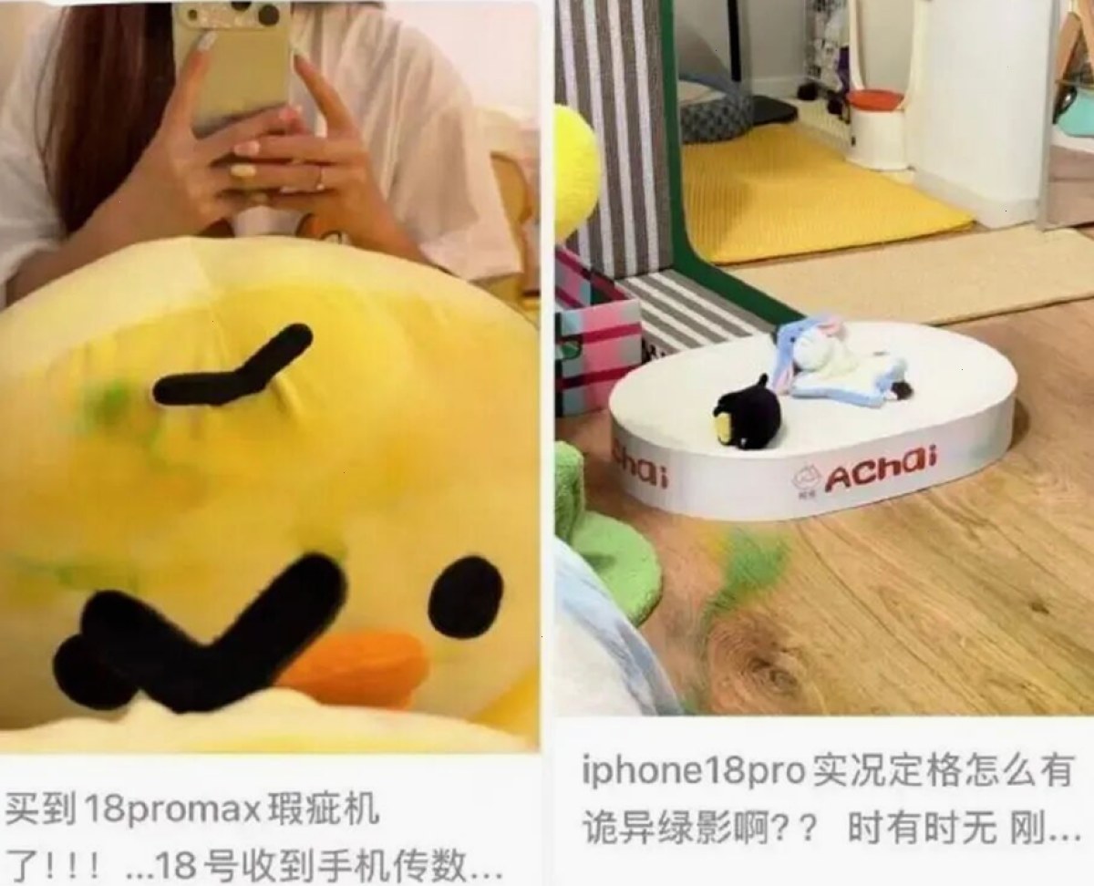 阅读